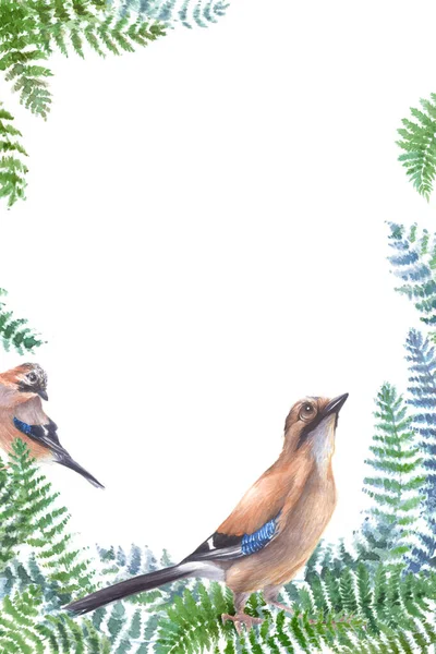 Ilustração Aquarela Com Pássaros Arbustos Samambaia — Fotografia de Stock