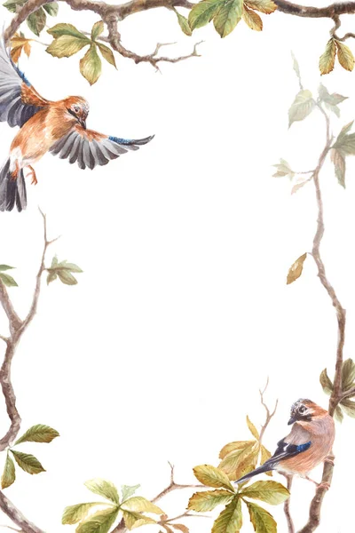 Illustration Aquarelle Avec Des Oiseaux Des Feuilles Châtaignier Cadre — Photo