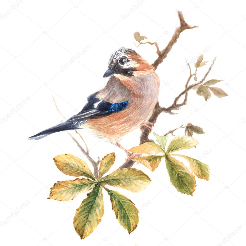 watercolor illustration with bird and chestnut leaves