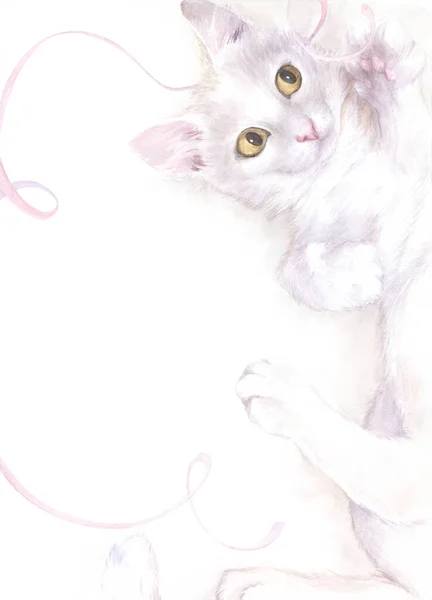Ilustração Aquarela Com Gato Branco Fita Rosa — Fotografia de Stock