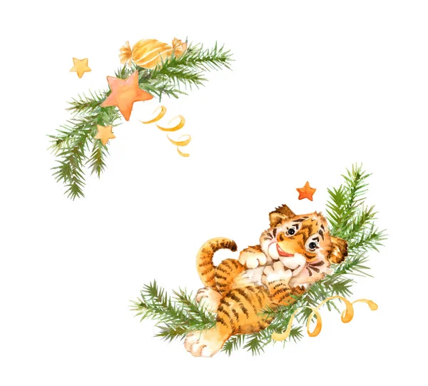 Illustration Aquarelle Petit Tigre Dans Des Branches Sapin — Photo