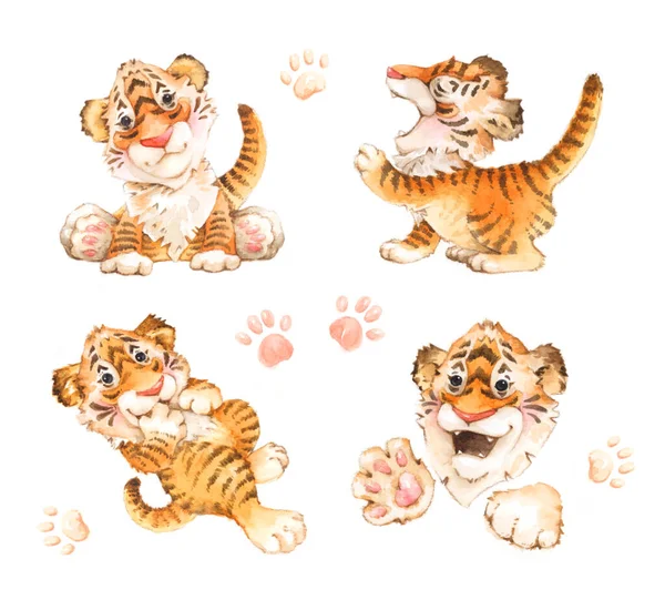 Dört kaplan yavrusuyla suluboya çizimi