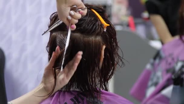 Mujer en la peluquería — Vídeo de stock