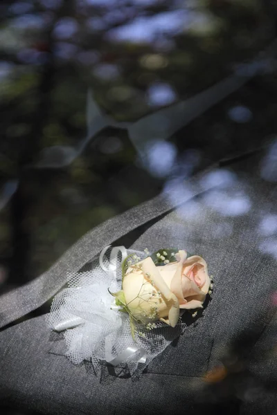 A vőlegény ruha, az a rózsa a gomblyuk — Stock Fotó