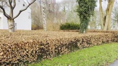 Göle karşı gökyüzü, Viborg, Danimarka manzarası. Danimarka 'nın Jutland şehrinde Viborg yakınlarında bir göl manzarası. Arka planda bulutlu bir gökyüzü olan sakin bir göl. Gökyüzü mavi ve ağaçlar yeşil.