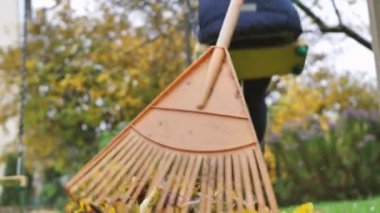 Sonbahar yapraklarını tırmıkla topla, bahçede çalış.