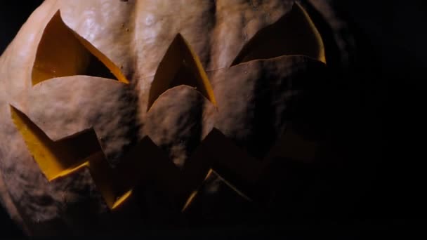 Abóbora Halloween Com Rosto Assustador Iluminada Por Dentro Abóbora Muito — Vídeo de Stock