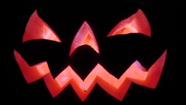 Halloween Pumpkin Scary Face Illuminated Very Scary Pumpkin Halloween — Stock Video