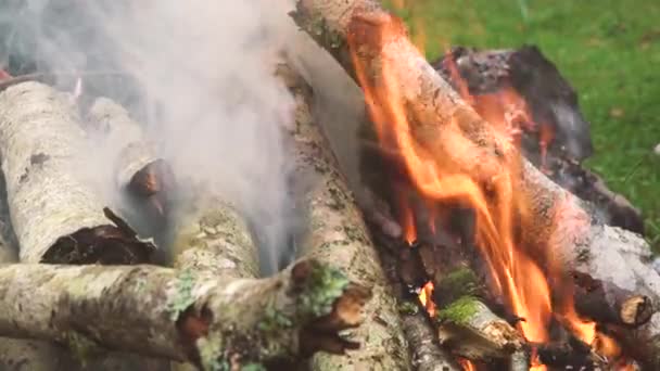 Oheň Větví Stromů Během Podzimu — Stock video