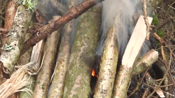 Een Vreugdevuur Van Boom Takken Tijdens Hoge Herfst — Stockvideo