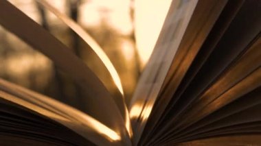 Kitabın sayfaları gün batımında parlıyor.