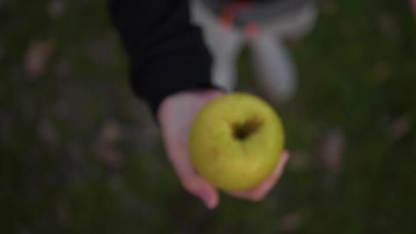 Adolescente Deja Una Manzana Verde Con Gotas Agua — Vídeo de stock