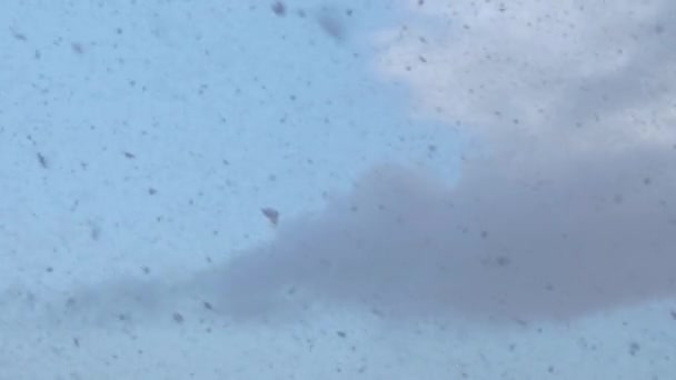 Μεγάλες Νιφάδες Χιονιού Πέφτουν Από Τον Ουρανό — Αρχείο Βίντεο
