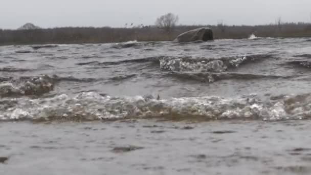 Lago Vento Sopra Ondas Para Costa — Vídeo de Stock