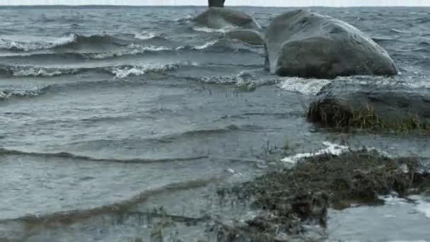 在湖中 风把波浪吹向岸边 — 图库视频影像