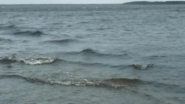 Στη Λίμνη Άνεμος Φυσάει Κύματα Στην Ακτή — Αρχείο Βίντεο