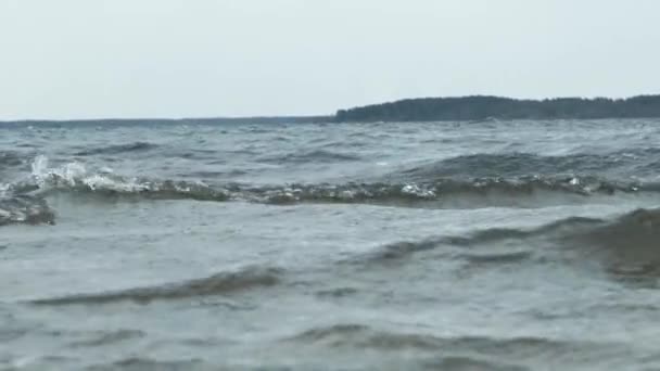 在湖中 风把波浪吹向岸边 — 图库视频影像