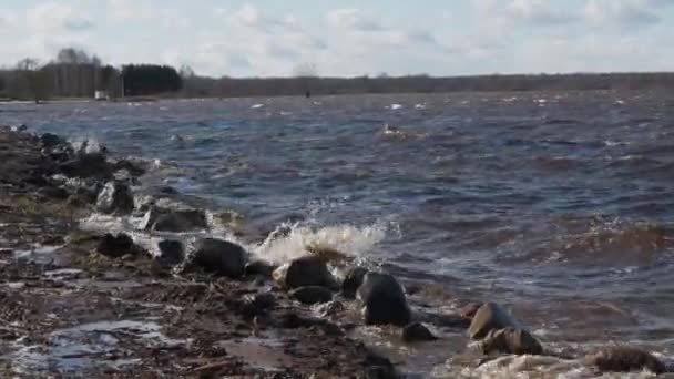 Hay Fuertes Olas Orilla Del Lago — Vídeos de Stock