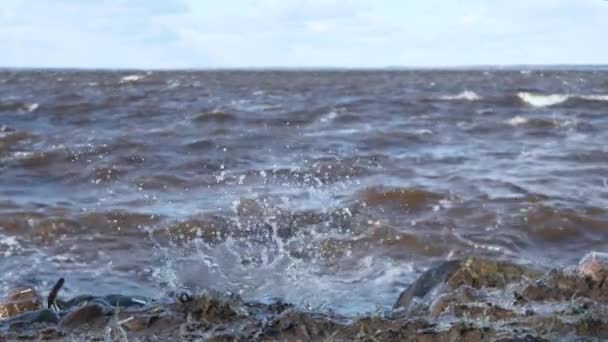 Берегу Озера Сильные Волны Медленное Движение — стоковое видео