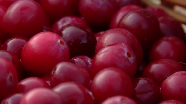 Big Cranberries Wrapped Basket — Stock Video