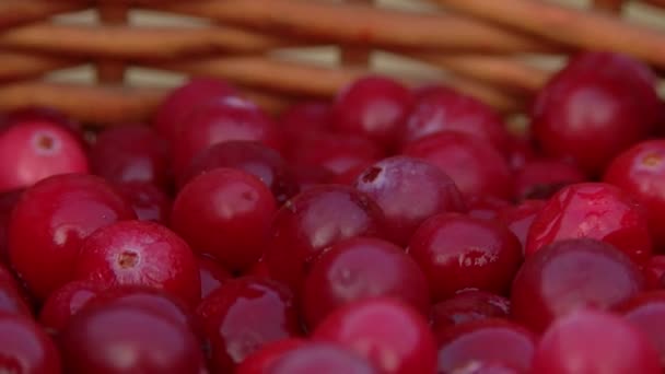 Cranberries Grandes Embrulhados Uma Cesta — Vídeo de Stock