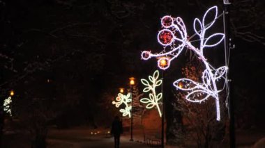 Ağaçlar Noel ışıklarıyla süslenmiş.