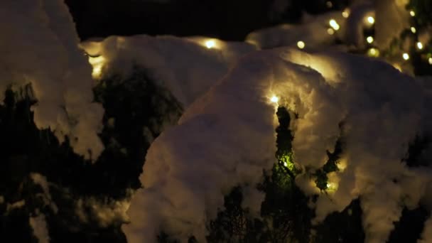 Снег Зеленых Ветках Рождественскими Огнями — стоковое видео