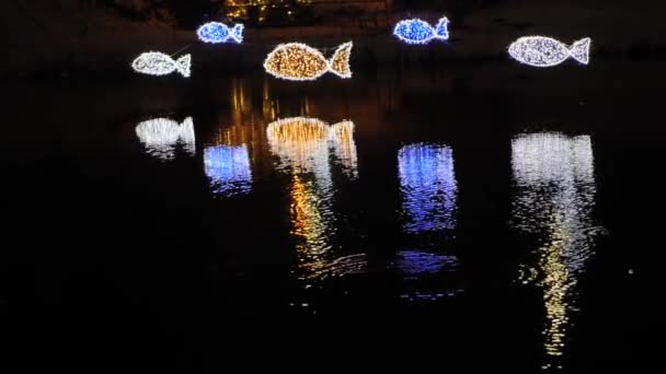 Pesci Sopra Lago Installazione Luminosa Sopra Acqua — Video Stock