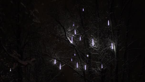 Los Árboles Están Decorados Con Luces Navidad — Vídeos de Stock