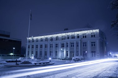 Şehir çevresinde karlı ağaçlarla çekilmiş bir gece fotoğrafı. Noel lambasıyla süslenmiş ahşap evler.