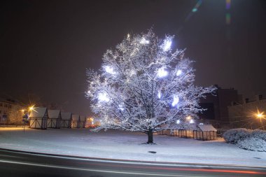 Şehir çevresinde karlı ağaçlarla çekilmiş bir gece fotoğrafı. Noel lambasıyla süslenmiş ahşap evler.