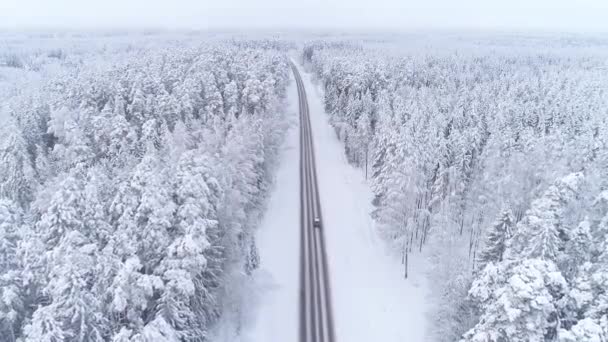 Śnieg Pokrył Drogę Drzewa Warstwą Śniegu Piękny Lot Dronem Zimą — Wideo stockowe