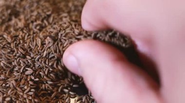 Kimyon parmaklarınla alınır ve serpiştirilir. Seçici odak