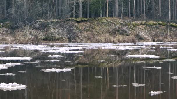 Ghiaccio Primaverile Fiume Sciolto Alcuni Ghiacci Galleggiano Paesaggio Primavera — Video Stock