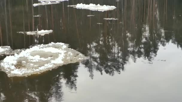 Frühlingseislauf Der Fluss Ist Geschmolzen Aber Einige Eisschollen Treiben Frühlingslandschaft — Stockvideo