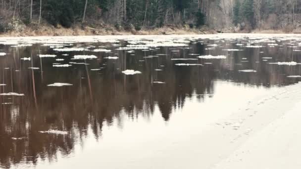 Frühlingseislauf Der Fluss Ist Geschmolzen Aber Einige Eisschollen Treiben Frühlingslandschaft — Stockvideo