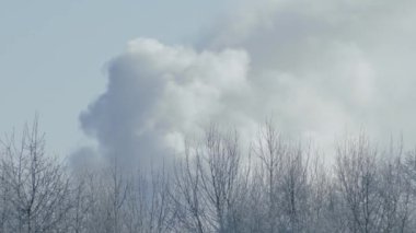 Karlı ağaçların arkasında duman var. Ağır çekim. Hava çok soğuk.