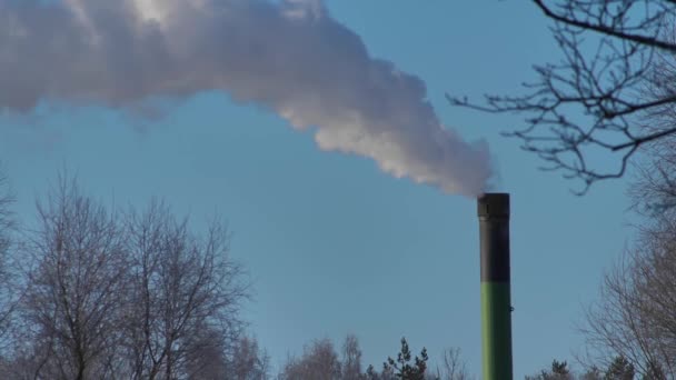 Humo Blanco Proviene Una Gran Chimenea Tiempo Invierno Menos Grados — Vídeos de Stock