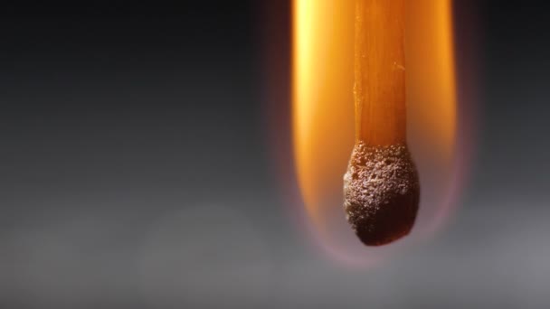 Odpovídá Vypalování Makra Oheň Přináší Zápalku Životu — Stock video
