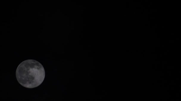 Luna Llena Mueve Rápidamente Cielo Oscuro Luna Llena Hombres Lobo — Vídeos de Stock