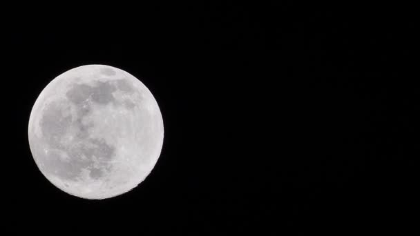 Pleine Lune Déplace Rapidement Dans Ciel Sombre Loup Garou Pleine — Video