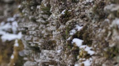 Kar kayalara düşüyor. Kar taneleri yavaşça düşüyor.