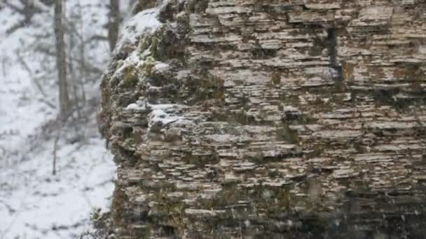 Nieve Cae Sobre Las Rocas Los Copos Nieve Están Cayendo — Vídeos de Stock