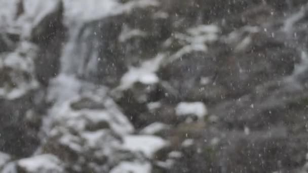 Nieve Cae Sobre Las Rocas Los Copos Nieve Están Cayendo — Vídeo de stock