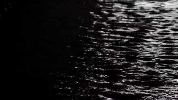 Темные Воды Реки Текут Медленно Драматическая Река Мостом — стоковое видео