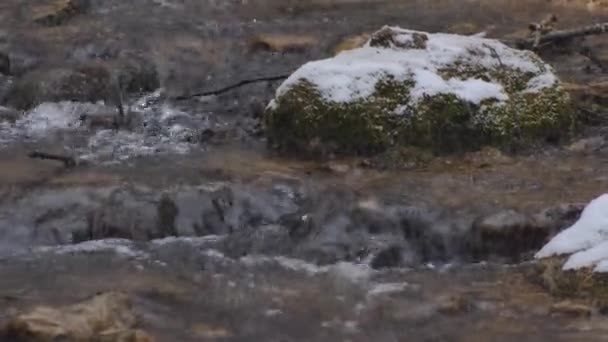 Malá Řeka Teče Lesa Sněhové Vločky Padají Vody — Stock video