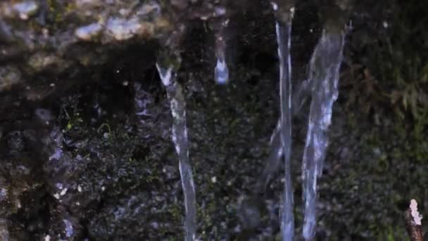 Malá Řeka Teče Lesa Sněhové Vločky Padají Vody — Stock video