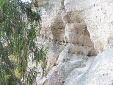 Ormandaki kum taşları. Baharda doğa parkı