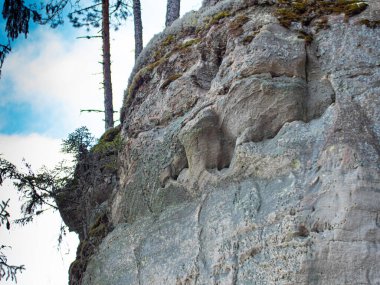 Ormandaki kum taşları. Baharda doğa parkı