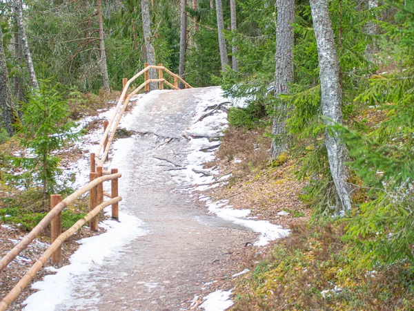 Nature trails wooden stairs and railings. Improvement of nature trails.